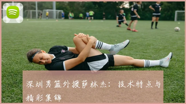 深圳男篮外援萨林杰：技术特点与精彩集锦